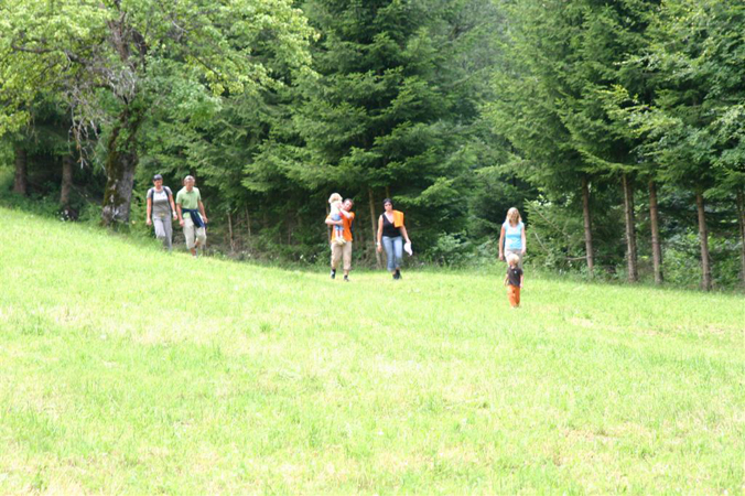 IMG_6183
