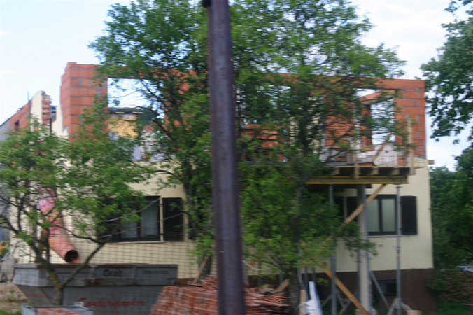 IMG_6508