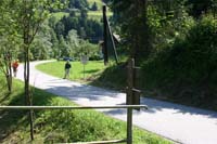 IMG_6350